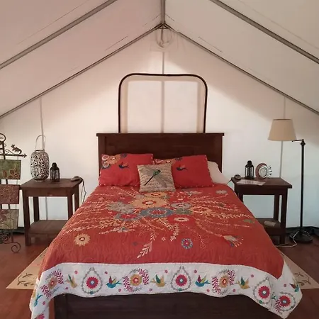 Cozy Glamp Tents At Wildland Gardens Joseph Extérieur photo