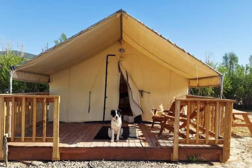 Cozy Glamp Tents At Wildland Gardens