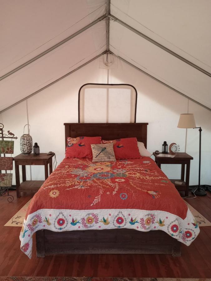 Cozy Glamp Tents At Wildland Gardens