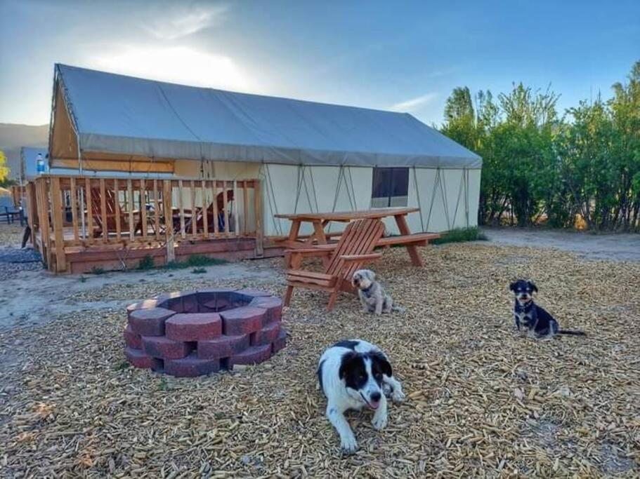Cozy Glamp Tents At Wildland Gardens *